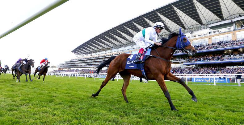 CURRAGH SUNDAY: Shorter trip to suit Journey in Pretty Polly