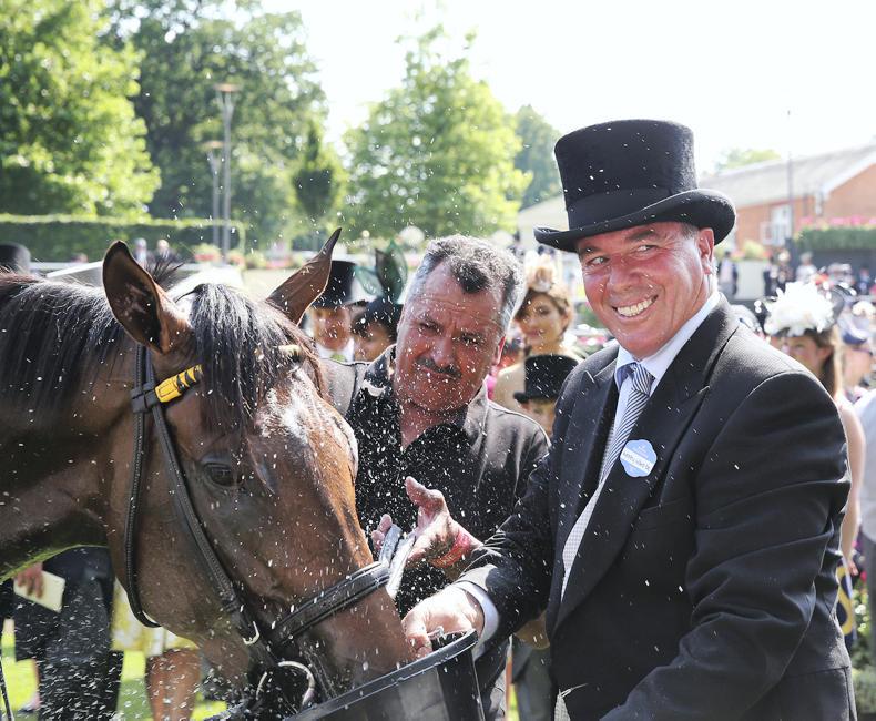 AMERICA:  Ward in Royal wonderland 