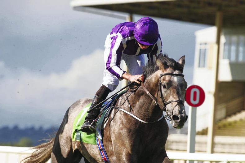 Capri hits top gear for Aidan O'Brien in Irish Derby at Curragh