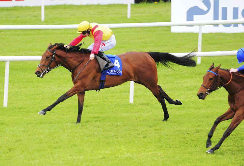 Elegant Pose looks all class for Ger Lyons