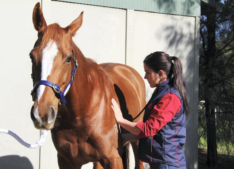 U.L. THESIS: Examination of Equine Influenza