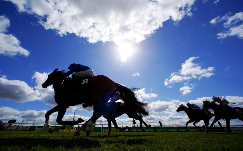 FRANCE: Zonza keeps it easy   