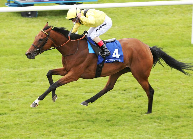 PEDIGREE NOTES: Superb weekend for Dubawi and Galileo