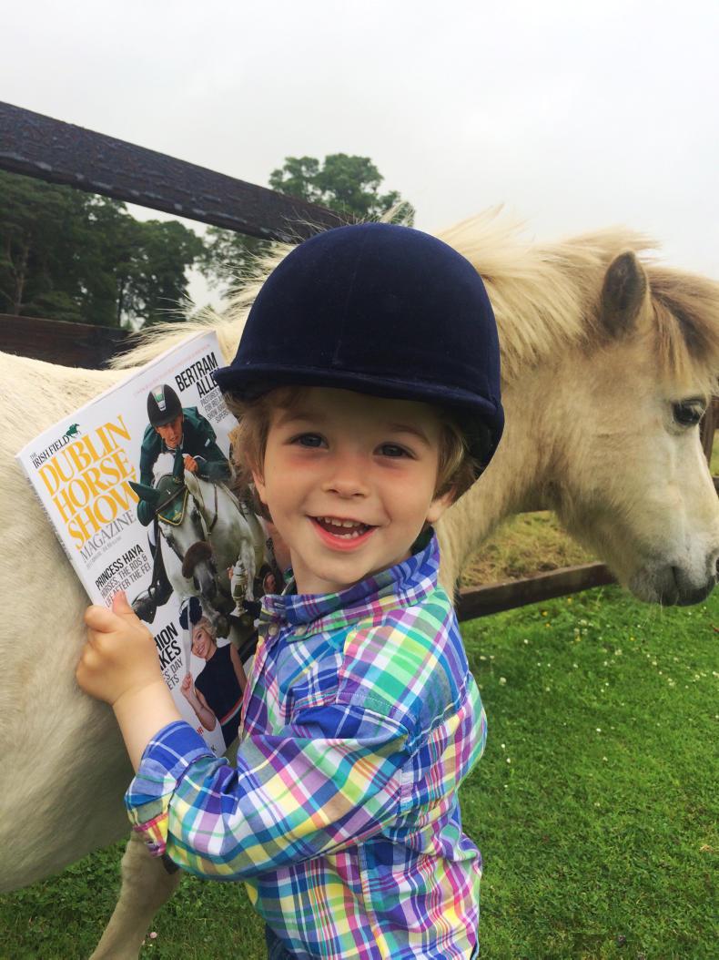 COMMENT:  Dublin Horse Show promises to be spectacular