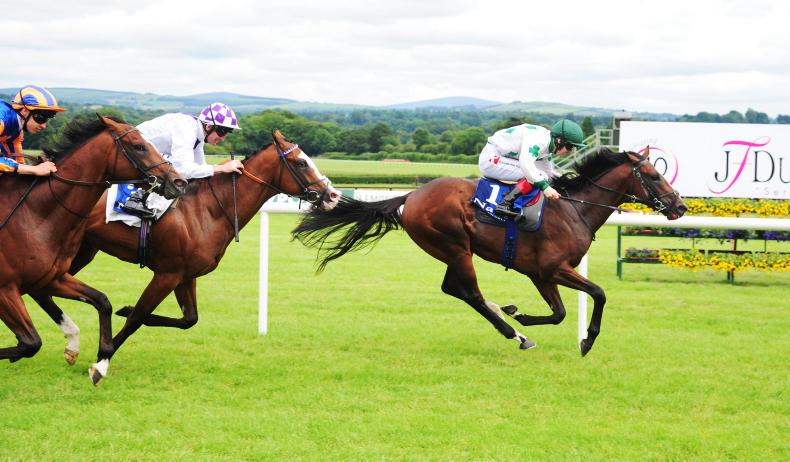 NAAS SATURDAY: Camelback shows his class