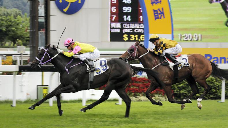 Rockingham Handicap beckons for Hit The Bid