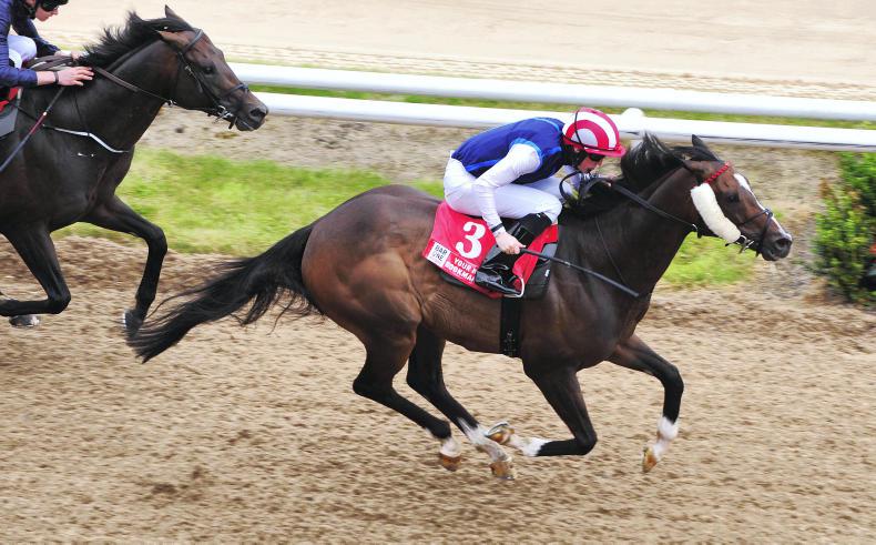 Moviesta proves a cut above despite hefty weight at Dundalk