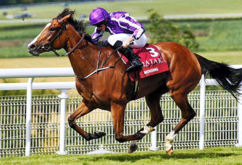 Dual Classic-winning filly Minding heads for retirement