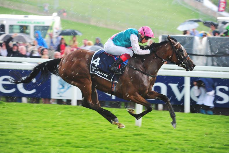 Enable heads the Darley Irish Oaks