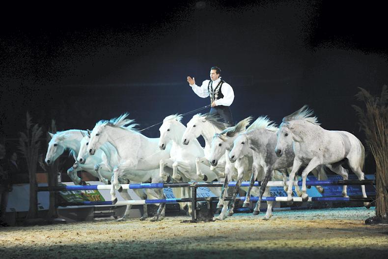 NEWS:  RDS debut for Flying Frenchman