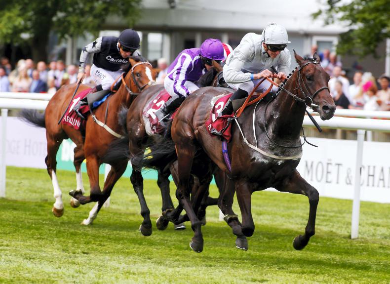 BRITAIN: Cardsharp holds the aces