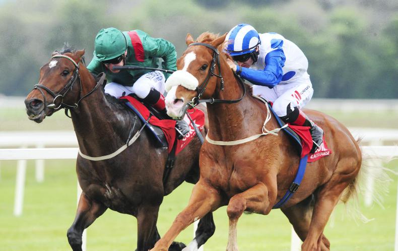 LADBROKES NAP TABLE: Selections weekending July 15/16th