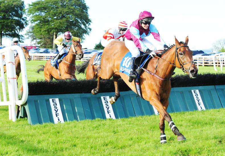 SLIGO SUNDAY: Bridge rock solid back over hurdles