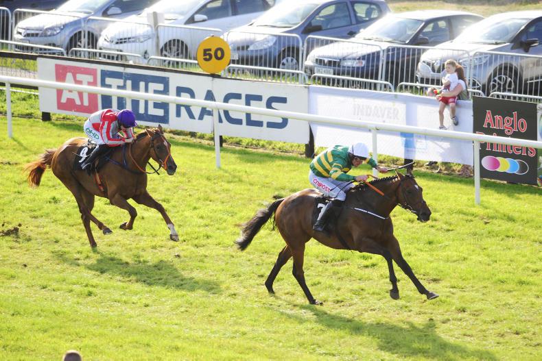 BELLEWSTOWN SATURDAY: Timiyan the highlight of McManus five-timer