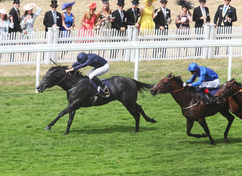 RORY DELARGY: Harry can reverse form away from Ascot