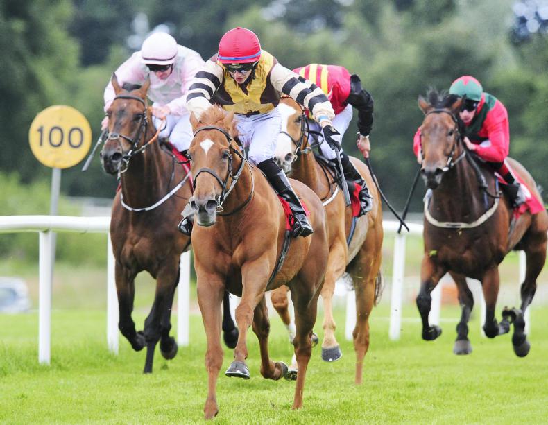 Can claiming races revitalise Irish racing? 