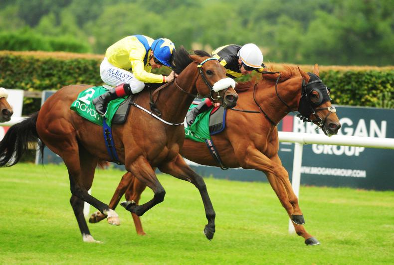 NAVAN FRIDAY: Slattery's Sabor is on top once again