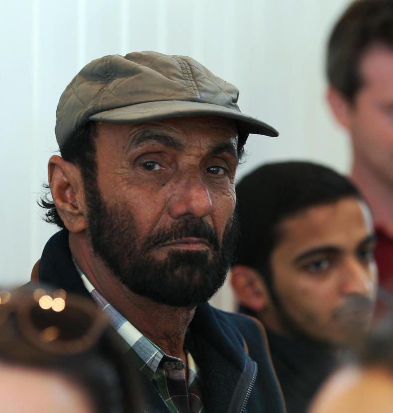 TATTERSALLS JULY SALE: Records tumble across the board