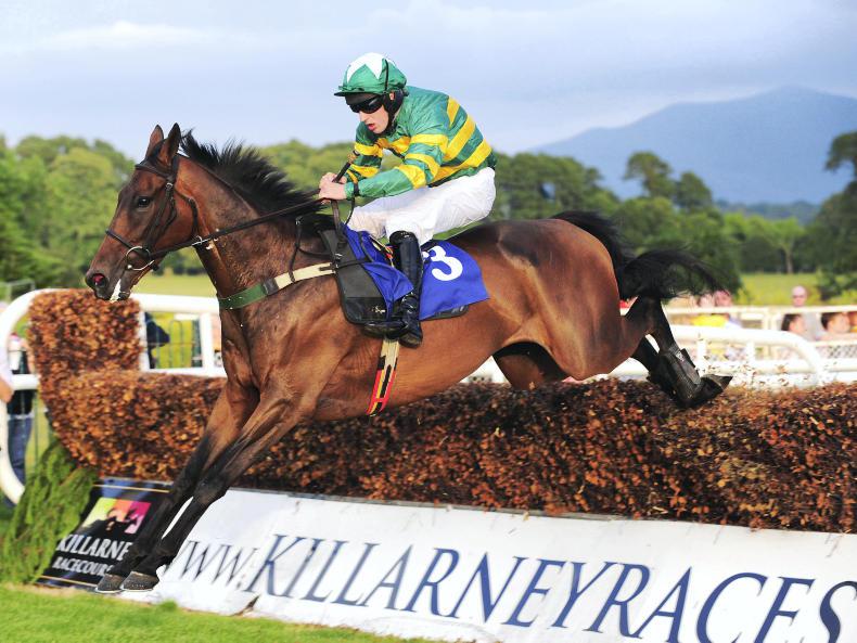 LIMERICK SATURDAY:  Bolger believes in Ballyoisin