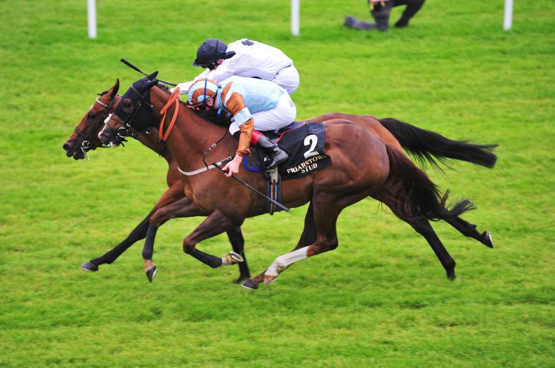 CURRAGH SATURDAY: Caspian is just regal shining  in the Sapphire