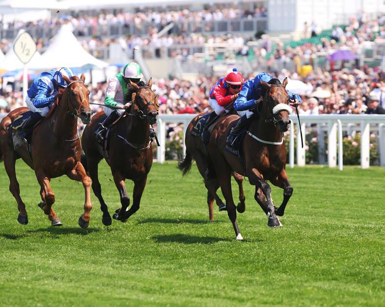 ASCOT: Mutakayyef out for the year following Ascot win