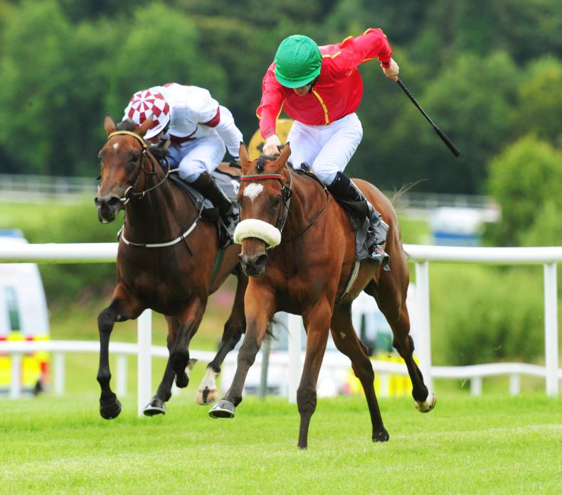 GOWRAN SATURDAY: Lyons and Keane double up again as Insayshable leads the way