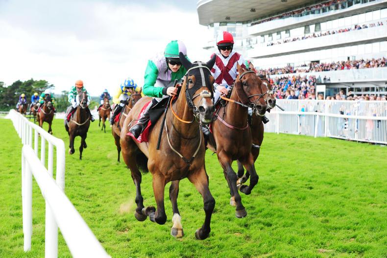 TALKING TRAINER: Eyes on the Galway prizes