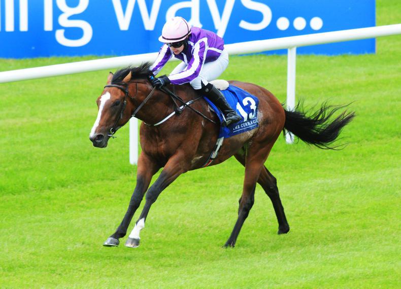 SIMON ROWLANDS: Unfortunately looks useful