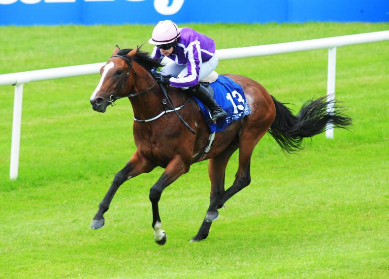 Aidan O'Brien all smiles as Happily wins Silver Flash Stakes at Leopardstown