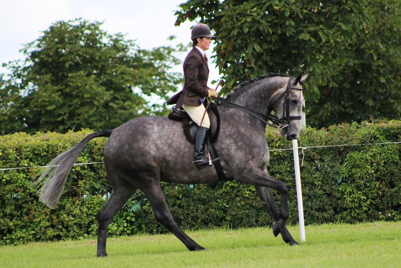 TATTS JULY SHOW:  Top honours for Bloomfield Waterfall 