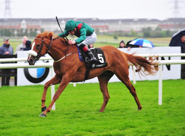 DONN McCLEAN: Galway can be a solid platform for future stars