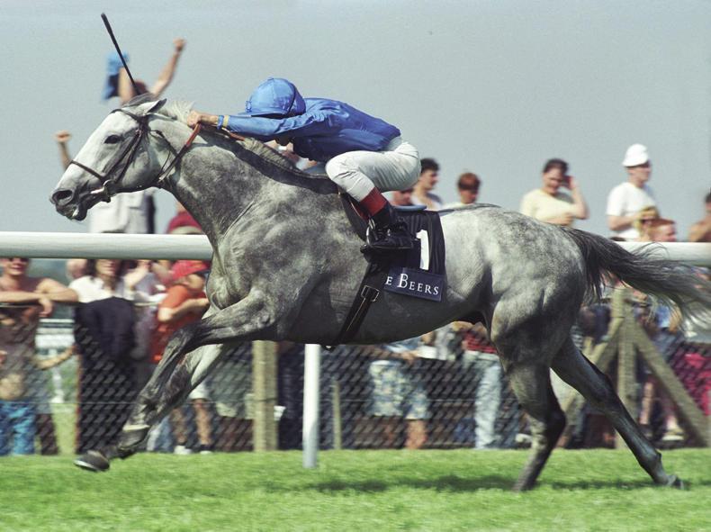 DONN McCLEAN: Four-year-olds on top in King George