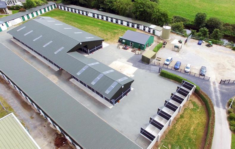 HORSE SENSE: Your go-to-guide for stable design 