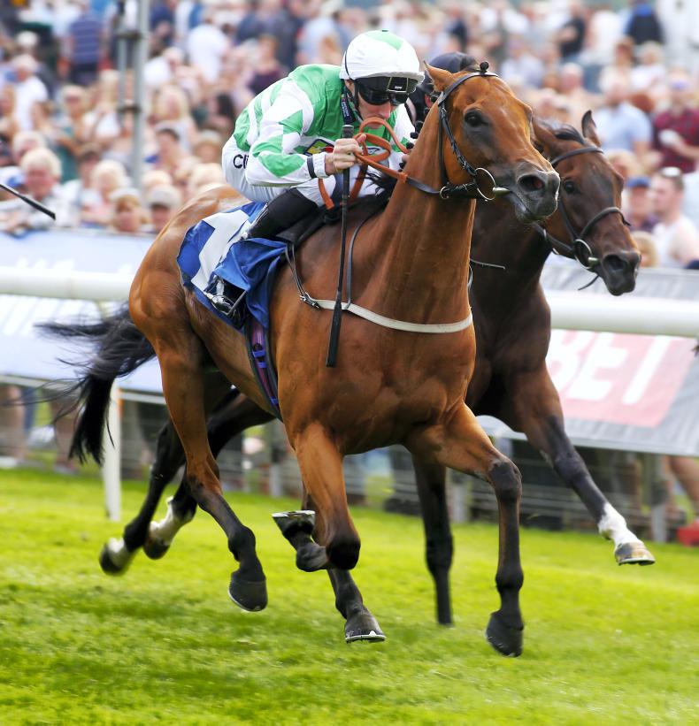 RORY DELARGY: Firmament a solid option for International