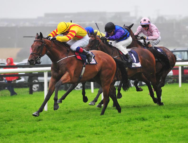 GALWAY TIPS: Your free guide to Tuesday's card at the Galway Festival