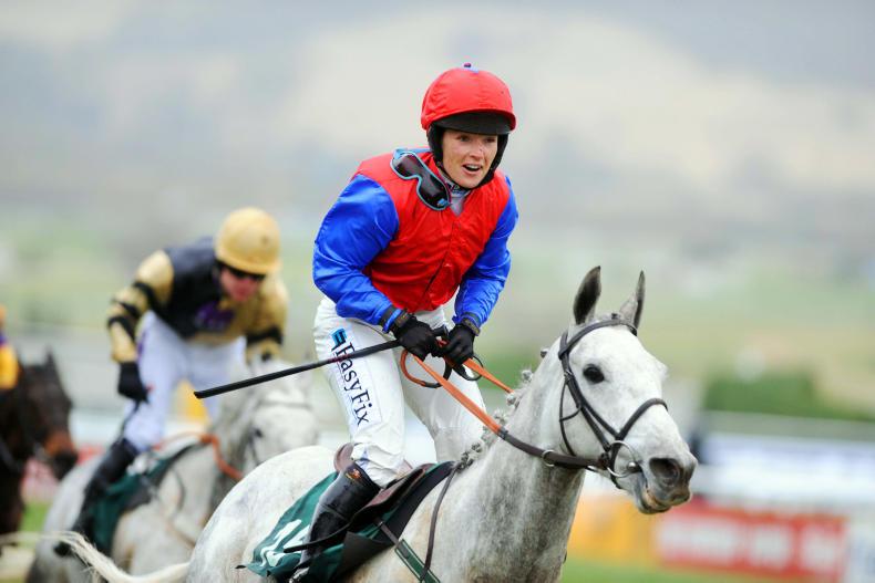 DUBLIN HORSE SHOW 2017: Walsh out to end Quirke’s reign