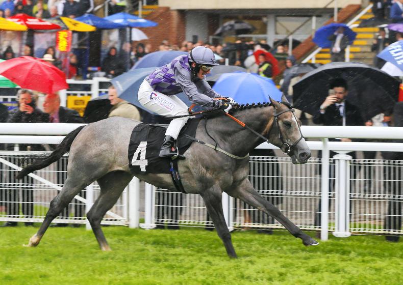 GLORIOUS GOODWOOD: Havana makes hay in the rain