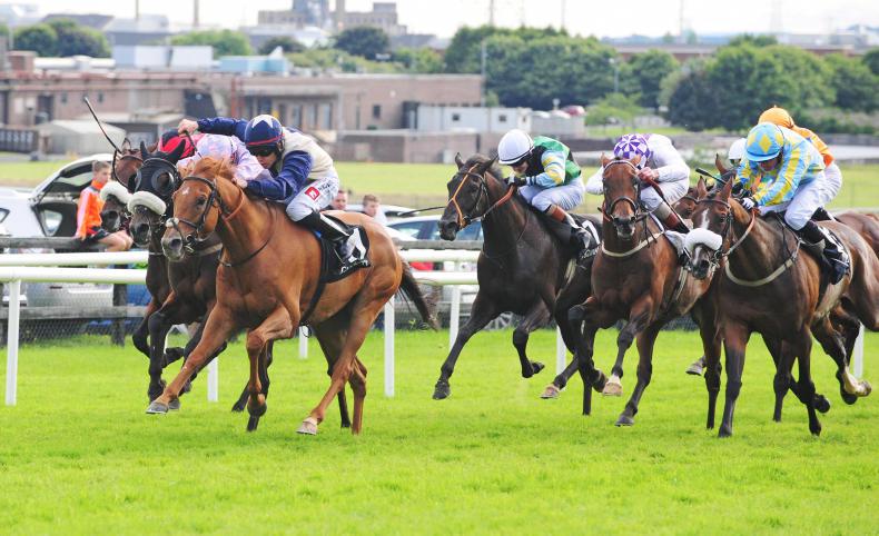 GALWAY TIPS: Your free guide to Friday's card at the Galway Festival