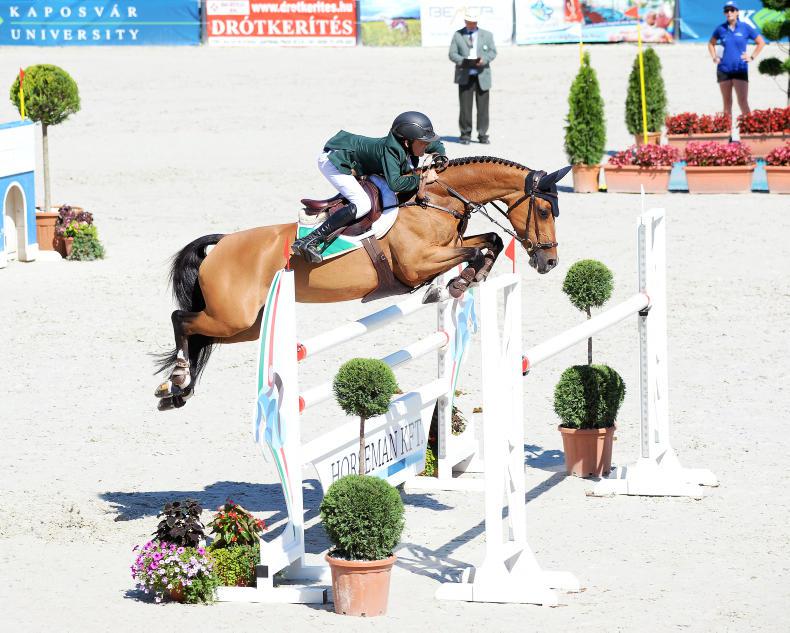 PICTURE DESK:  Celebrating our Pony European riders