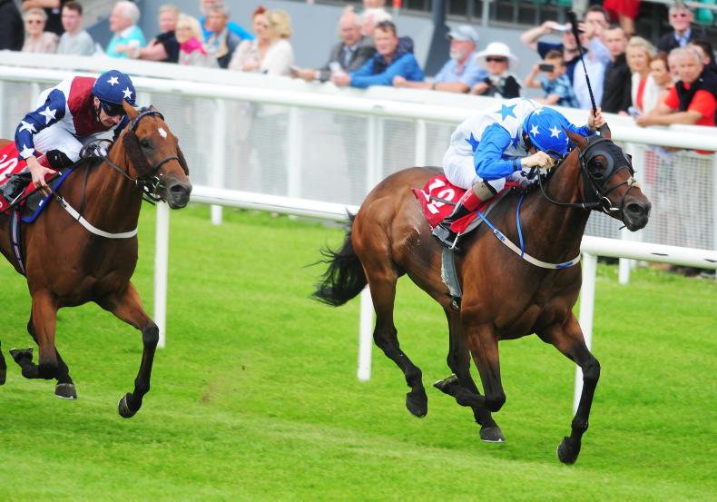 GALWAY SUNDAY: Tithonus can make it a hat-trick