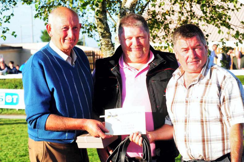 PARROT MOUTH: Owners' hospitality at Wexford