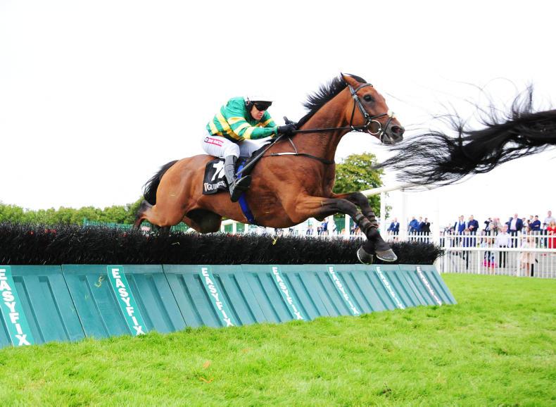 Galway Hurdle winner bred in the purple