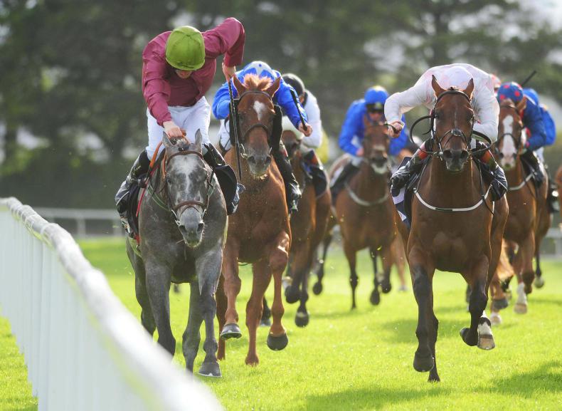 GALWAY TUESDAY: Cheers for Cascavelle and McNamara