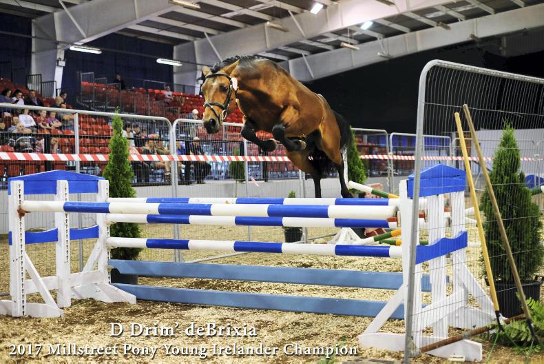 MILLSTREET 2017:  Winning week for Gateau Stables