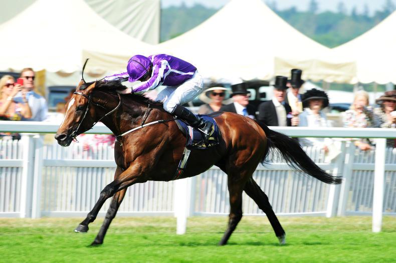 Aussies keen to broker Reel deal