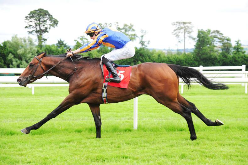 Spanish Steps surprises Johannes Vermeer in Ballyroan 1-2 for Aidan O'Brien