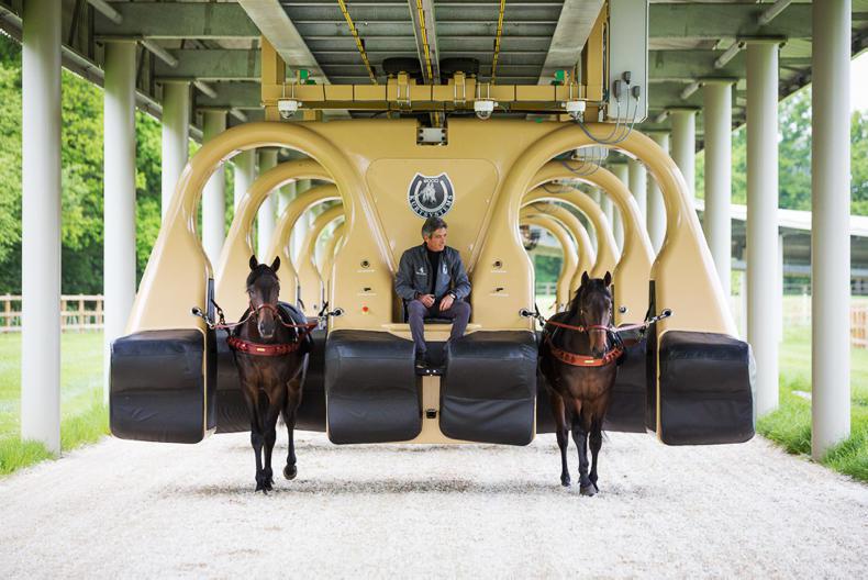 HORSE SENSE: The future of pre-training horses?