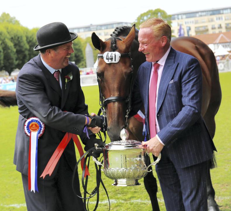 DUBLIN HORSE SHOW 2017:  Parkmore Evita packs a punch in Coote Cup championship 