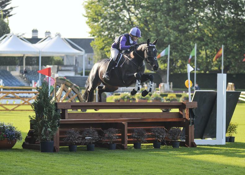 DUBLIN HORSE SHOW 2017: A Masterpiece by Kirby