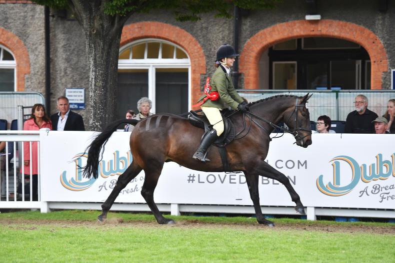 DUBLIN HORSE SHOW 2017: Mullybrannon Diamond crowned champion 